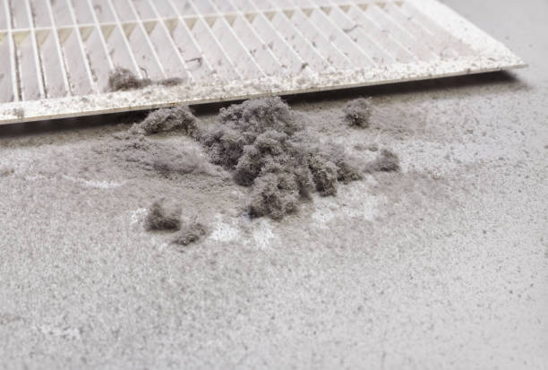 Best Commercial Air Duct Cleaning  in Camden, NJ